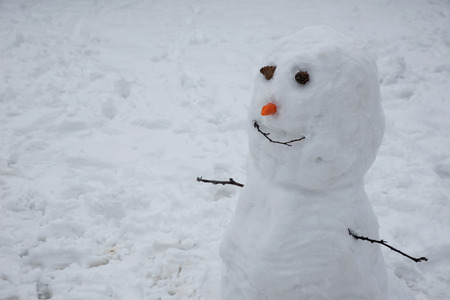 Cute little snowman at the garden.の写真素材