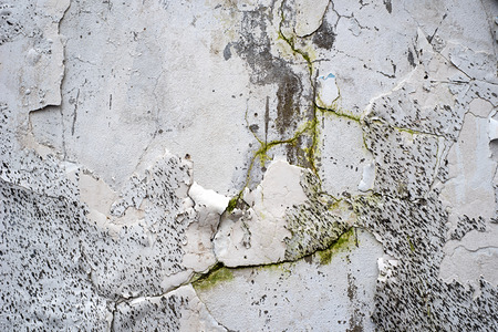 Peeling Paint Wall with Mud and Moss
