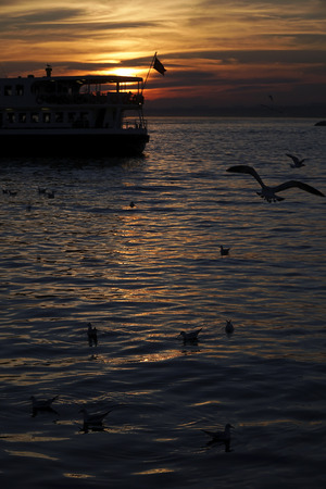 Silhouette of a public trasportation ship is at Istanbul at sunset time.の写真素材