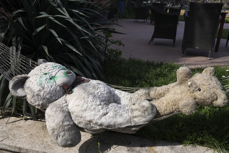 Teddy bears are resting on hammockの写真素材