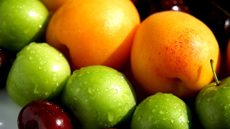 Wet plums and apricots from high angle viewの写真素材