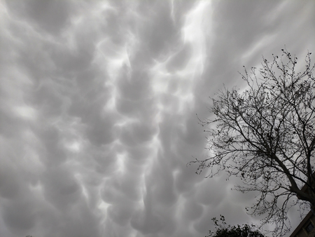 Interesting and scary storm clouds and treesの写真素材