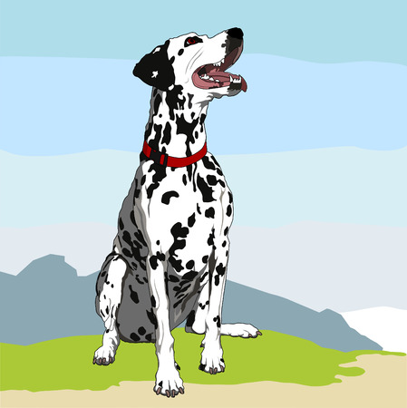 Obedient dalmatianのイラスト素材