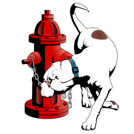 American Bulldog at the fire hydrantのイラスト素材