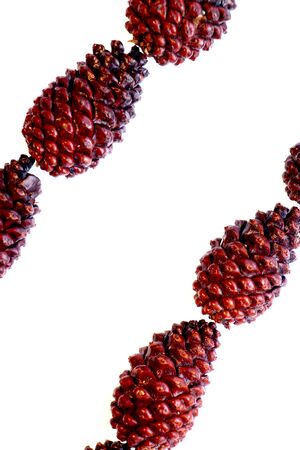 Background image - cones lie in rows diagonallyのeditorial素材