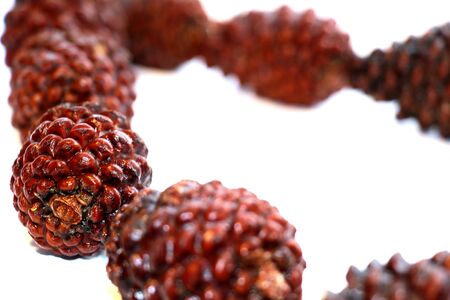 Background image - cones on a white background.のeditorial素材