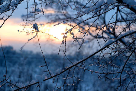 A calming sunset is reflected in frozen dropsのeditorial素材