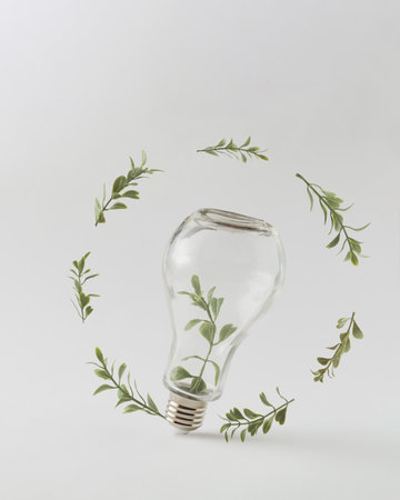 A green plant inside a light bulb with circular leaves and plants. Spring  or summer idea. Natural creative minimalism.White background.の写真素材