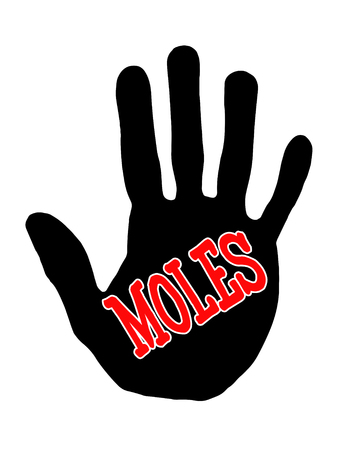 Man handprint isolated on white background showing stop molesの写真素材