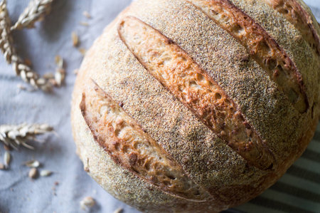 Close-up of whole wheat sourdough bread and ears of wheat on a kitchen towelの写真素材
