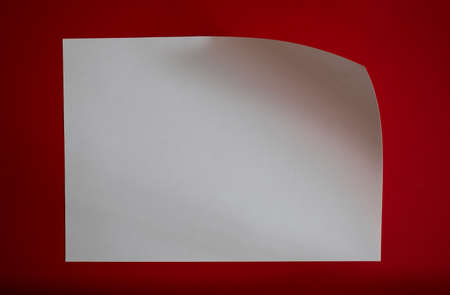 Blank white sheet of paper on red backgroundの写真素材