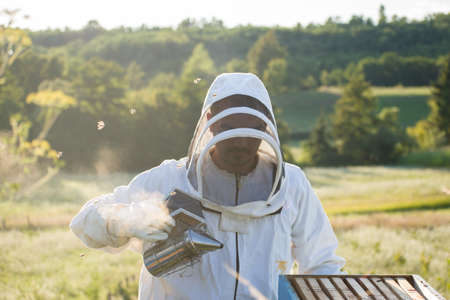 Beekeeper working in the apiary with bee smoker at sunsetの写真素材
