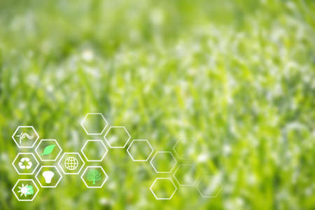 Green nature background with renewable energy icons, hexagons. Development of green, eco sustainable...