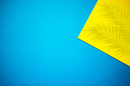 Yellow and blue abstract background with palm leaves shadowの写真素材