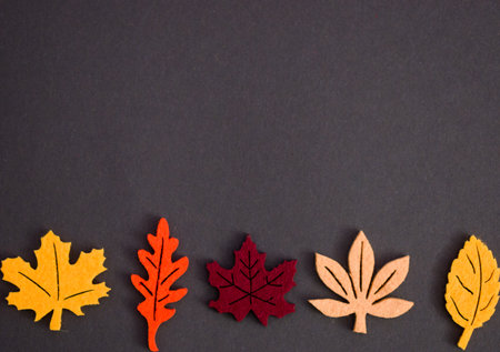 Autumn red, orange and yellow leaves on black background with copy space. Autumn, fall concept...