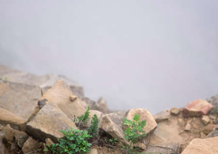 cliff and rocks in the fog on the seashoreの写真素材