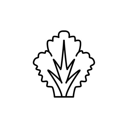 Black & white vector illustration of lettuce leaf vegetable. Line icon of fresh organic veggie. Vegan & vegetarian food. Health eating ingredient. Isolated object on white background.のイラスト素材