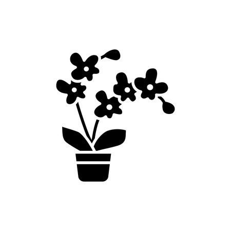 Black & white vector illustration of blooming orchid with flowers & leaves in pot. Flat icon of decorative exotic home plant in container. Isolated object on white backgroundのイラスト素材