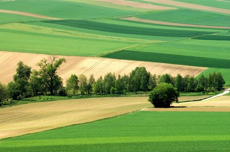 Green fields. Germany