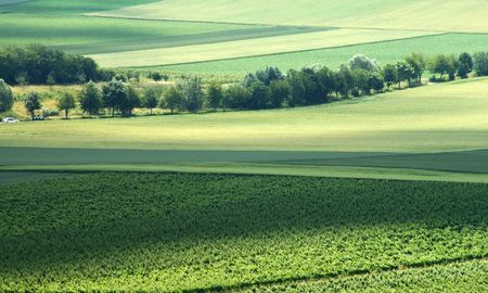 Green landscapeの写真素材