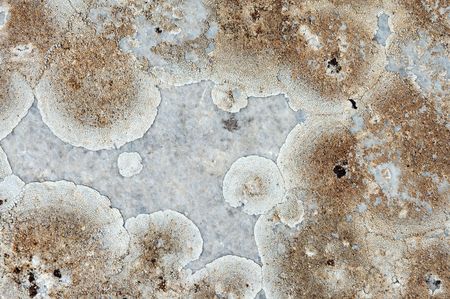 Old marble texture
