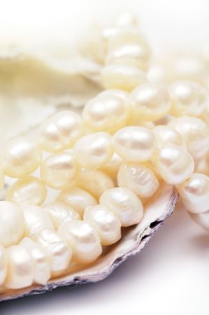 Pearl necklace in oyster shell