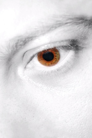 Eye detail の写真素材