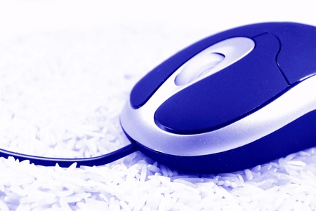 Mouseの写真素材