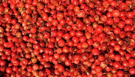 Red pepperの写真素材