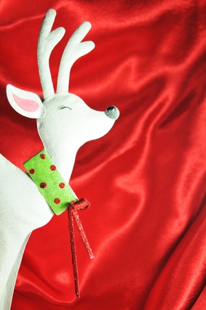 Reindeerの写真素材