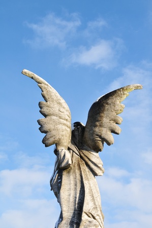 Back view of an stone angelの写真素材