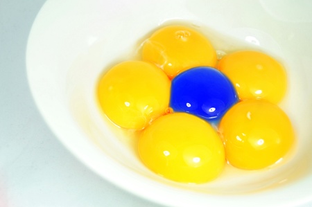 Eggs の写真素材