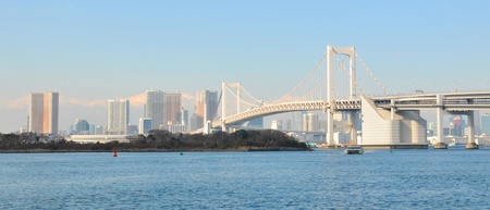 Tokyo panorama の写真素材