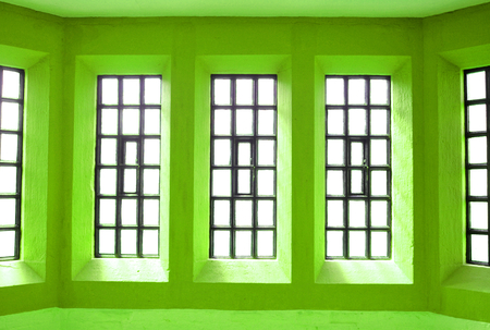 Bright green wall and windowsの写真素材