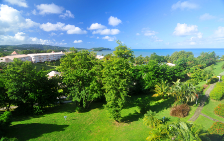 Aerial view of exotic gardenの写真素材
