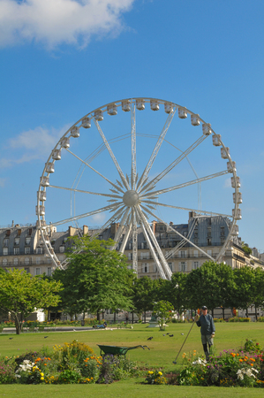 Paris, France - July 8, 2015: Roue de Paris, 60-metre (200 ft) tall ferris wheel, overlooks the Tuileries gardens in Paris, France.のeditorial素材