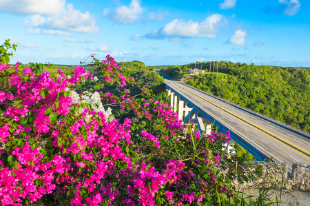 Panorama of the road to Matanzas, Cubaのeditorial素材