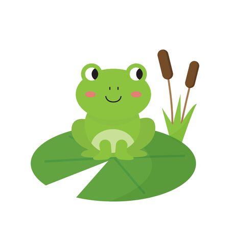Cute cartoon frog on white background. Isolated picture.のイラスト素材