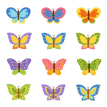 Set of colorful beautiful butterflies. Bright collection of summer butterflies.のイラスト素材