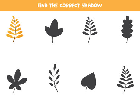 Find the correct shadow of cute autumn leaf. Logical puzzle for kids.のイラスト素材