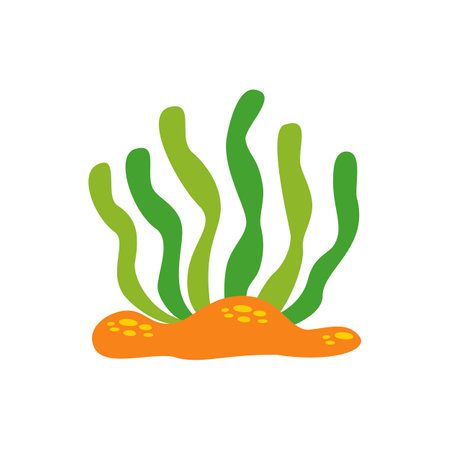 Vector picture of cartoon seaweed isolated on white background.のイラスト素材