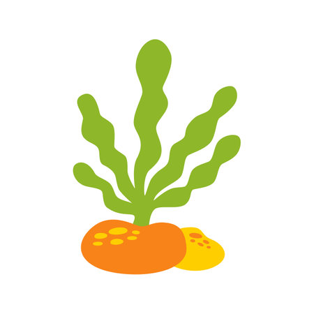 Vector picture of cartoon seaweed isolated on white background.のイラスト素材