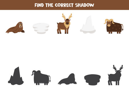 Find shadows of cute cartoon arctic animals. Educational logical game for kids.のイラスト素材