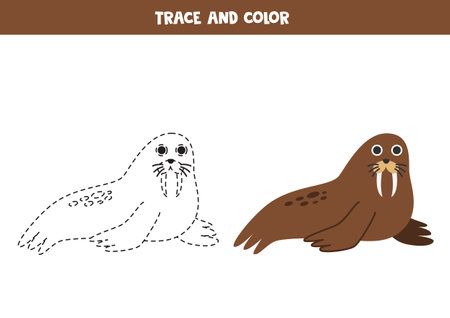 Trace and color cute cartoon walrus. Worksheet for kids.のイラスト素材
