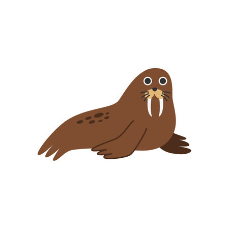 Vector picture of cute brown walrus isolated on white background.のイラスト素材