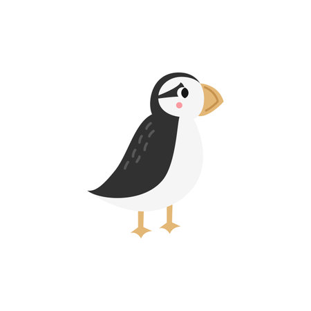 Vector picture of cute puffin isolated on white background.のイラスト素材