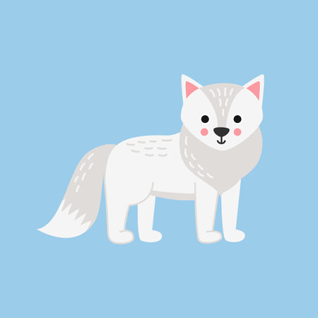 Vector picture of cute arctic fox isolated on blue background.のイラスト素材
