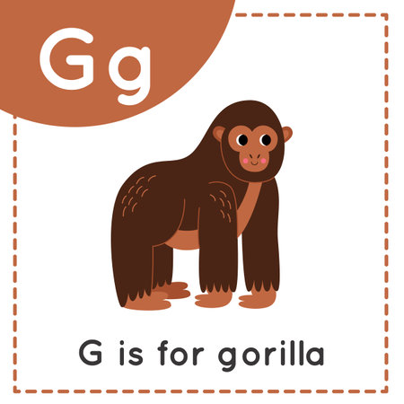Animal alphabet flashcard for children. Learning letter G. G is for gorilla.のイラスト素材