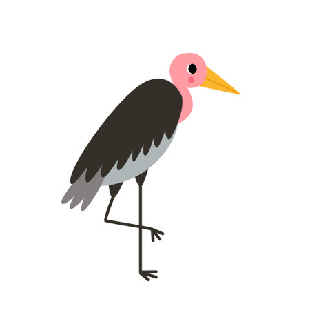 Vector picture of cute marabou bird isolated on white background.のイラスト素材