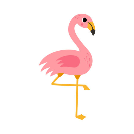Vector picture of pink flamingo isolated on white background.のイラスト素材